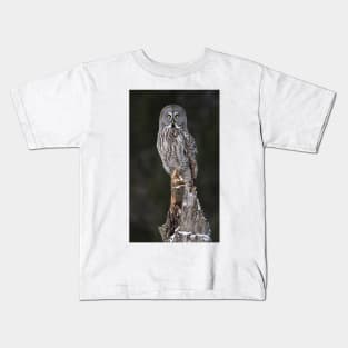 The Phantom - Great Grey Owl Kids T-Shirt